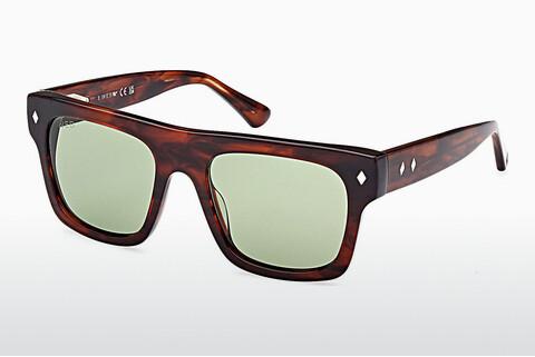 Solglasögon Web Eyewear WE0354 56N