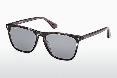 धूप का चश्मा Web Eyewear WE0363 20V