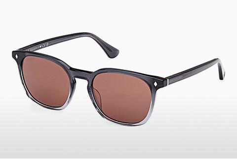 धूप का चश्मा Web Eyewear WE0364 20S