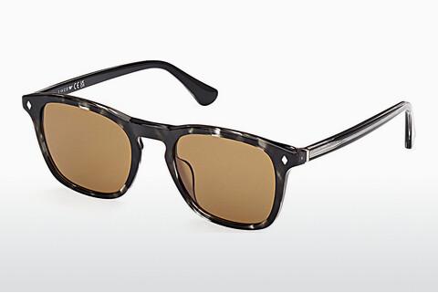 धूप का चश्मा Web Eyewear WE0365 05E