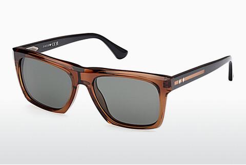 धूप का चश्मा Web Eyewear WE0367 50D