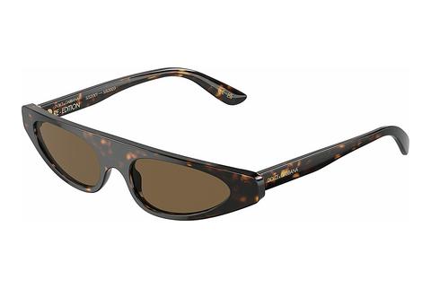 Sunglasses Dolce & Gabbana DG4442 502/73