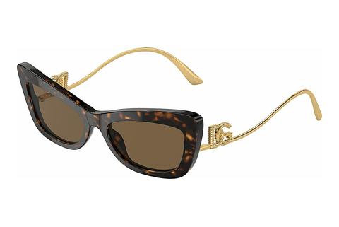Solglasögon Dolce & Gabbana DG4467B 502/73