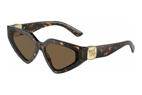 Solglasögon Dolce & Gabbana DG4469 502/73