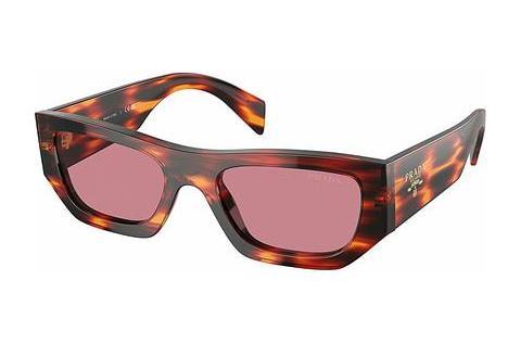 Sunglasses Prada PR A01S 13O80B