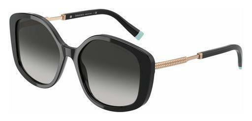 Sunglasses Tiffany TF4192 80013C