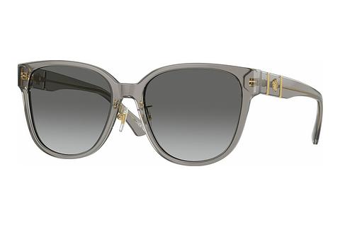 Solglasögon Versace VE4460D 540611