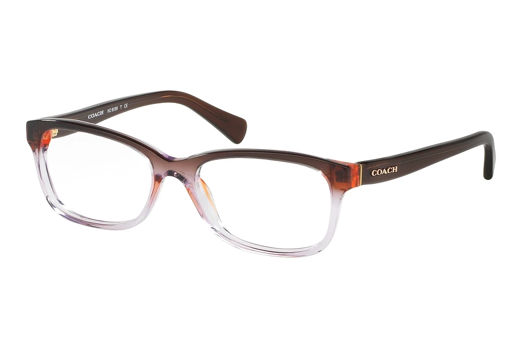 Coach   HC6089 5401 Transparent Purple Gradient