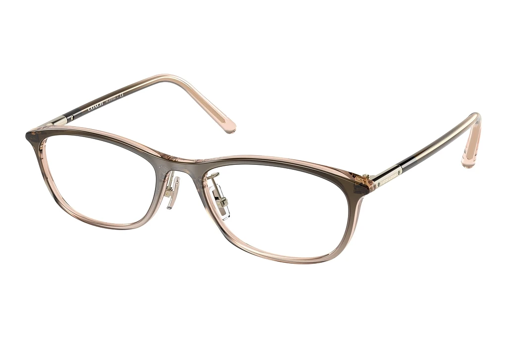 Coach   HC6191BD 5675 Brown Gradient