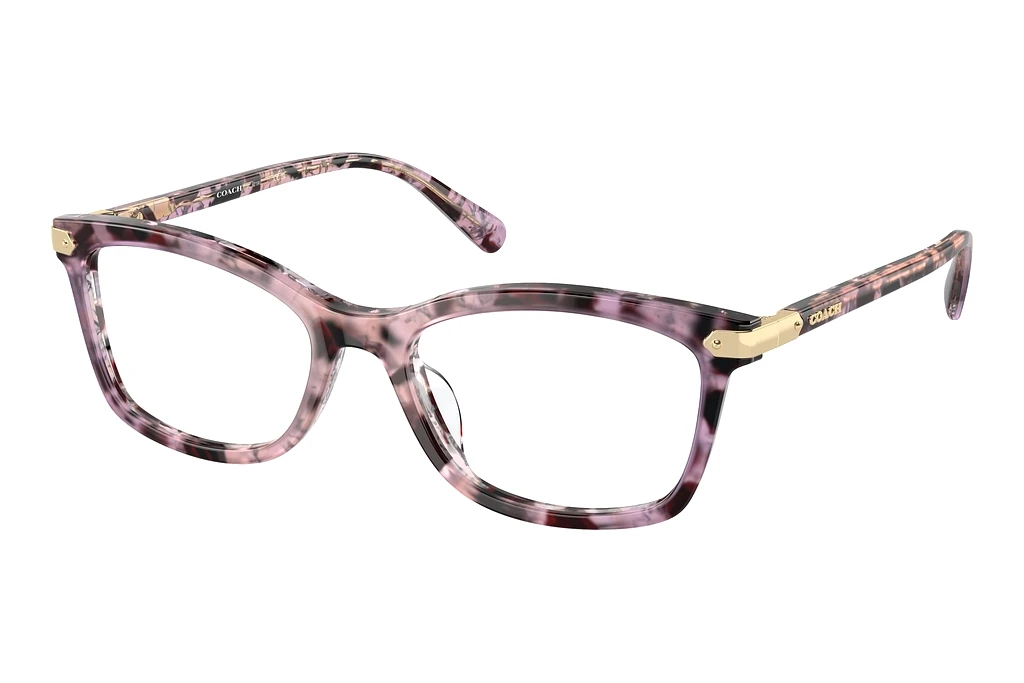 Coach   HC6219U 5777 Iris Tortoise