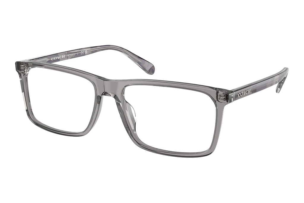 Coach   HC6251U 5849 Transparent Grey