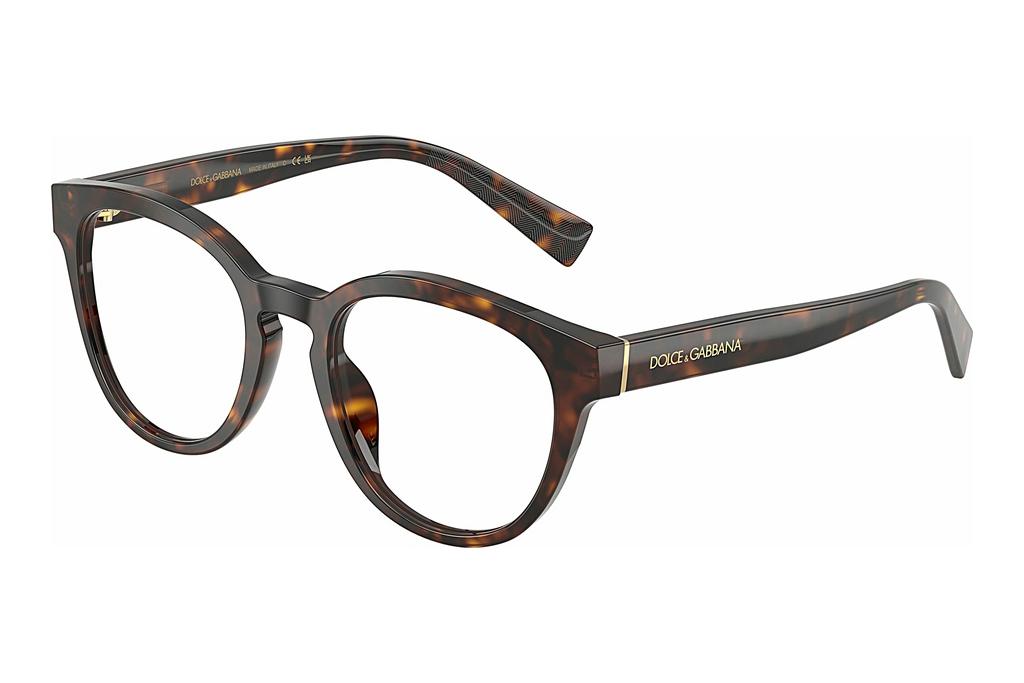 Dolce & Gabbana   DG3421 502 Havana