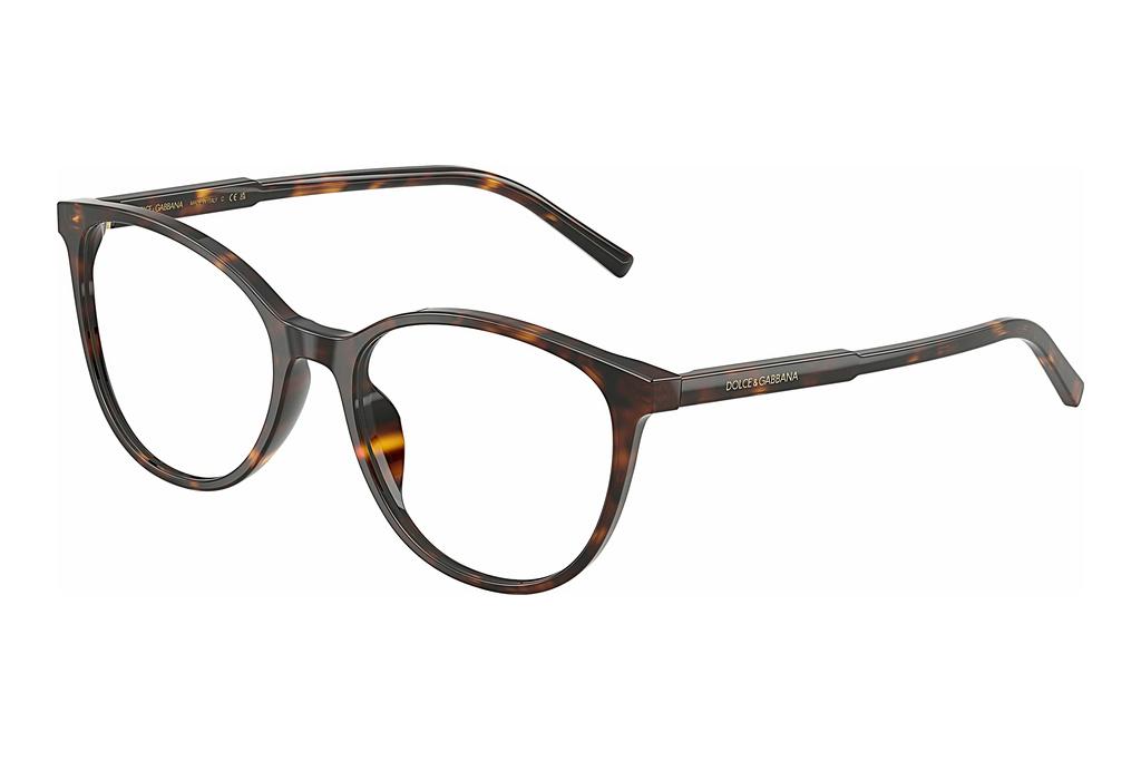 Dolce & Gabbana   DG3425 502 Havana