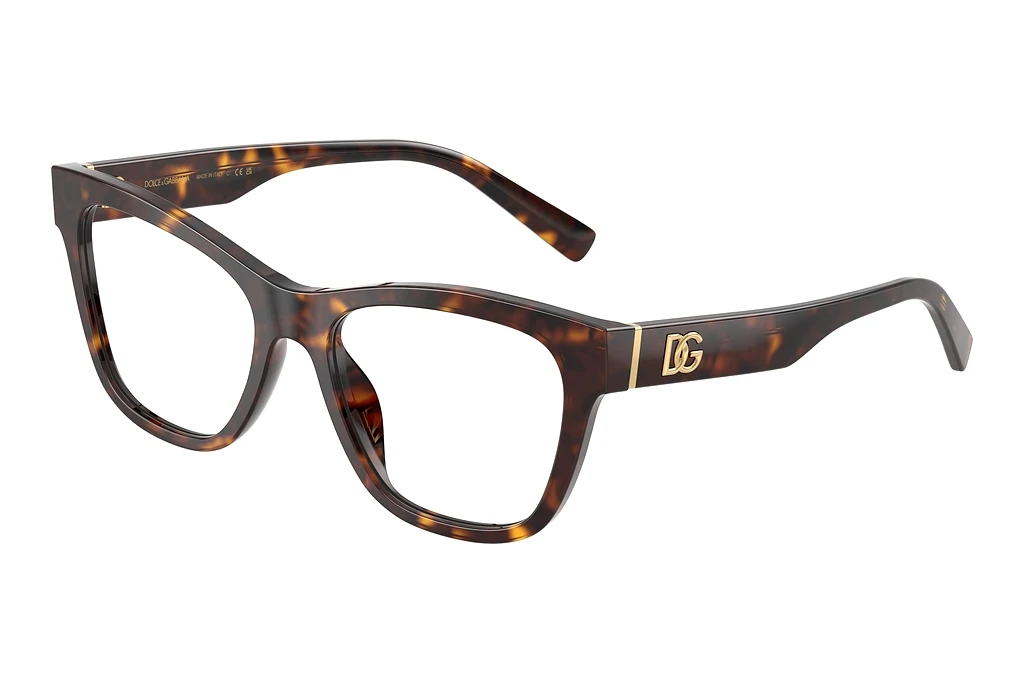 Dolce & Gabbana   DG3430 502 Havana
