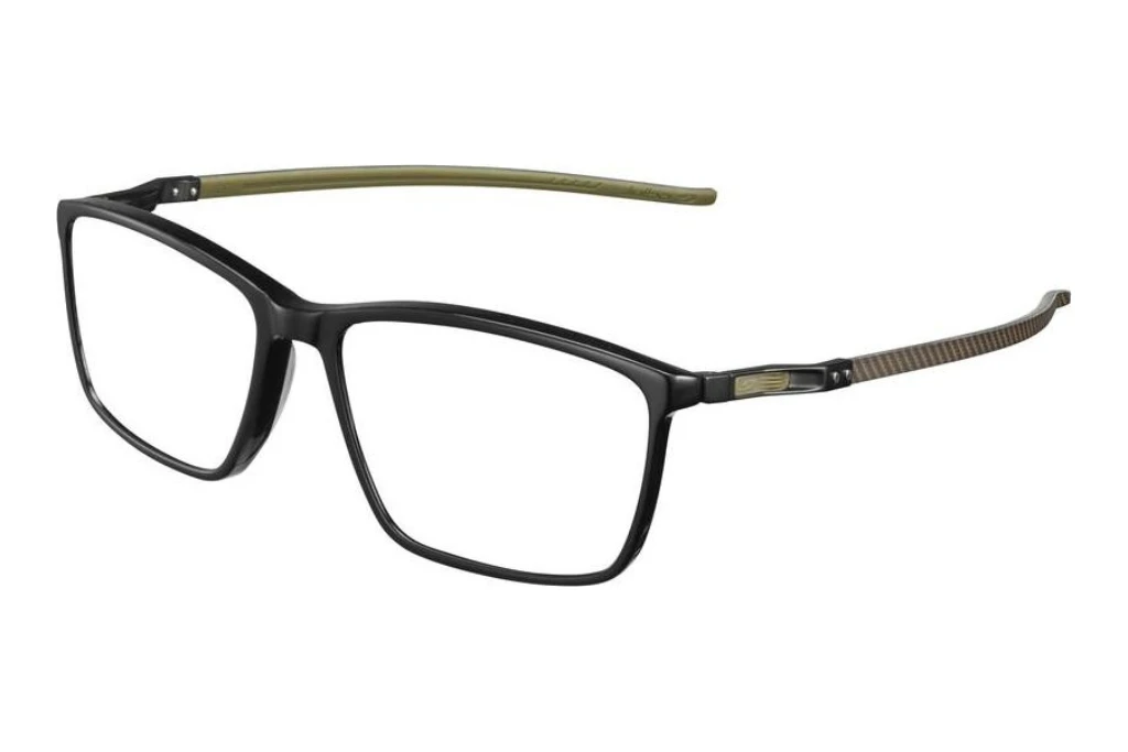 Julbo   RIDLEY 14 Schwarz