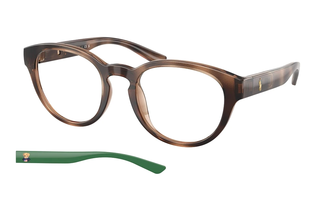 Polo   PH2293U 6070 Shiny Dark Havana