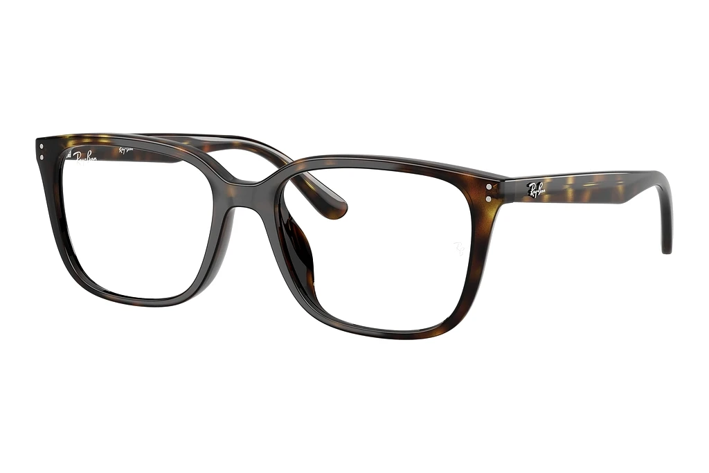 Ray-Ban   RX7248D 2012 Havana