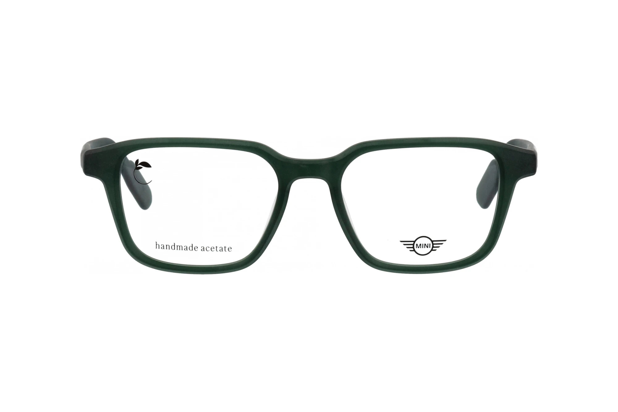 Vista frontal MINI Eyewear MI 743029 (40)