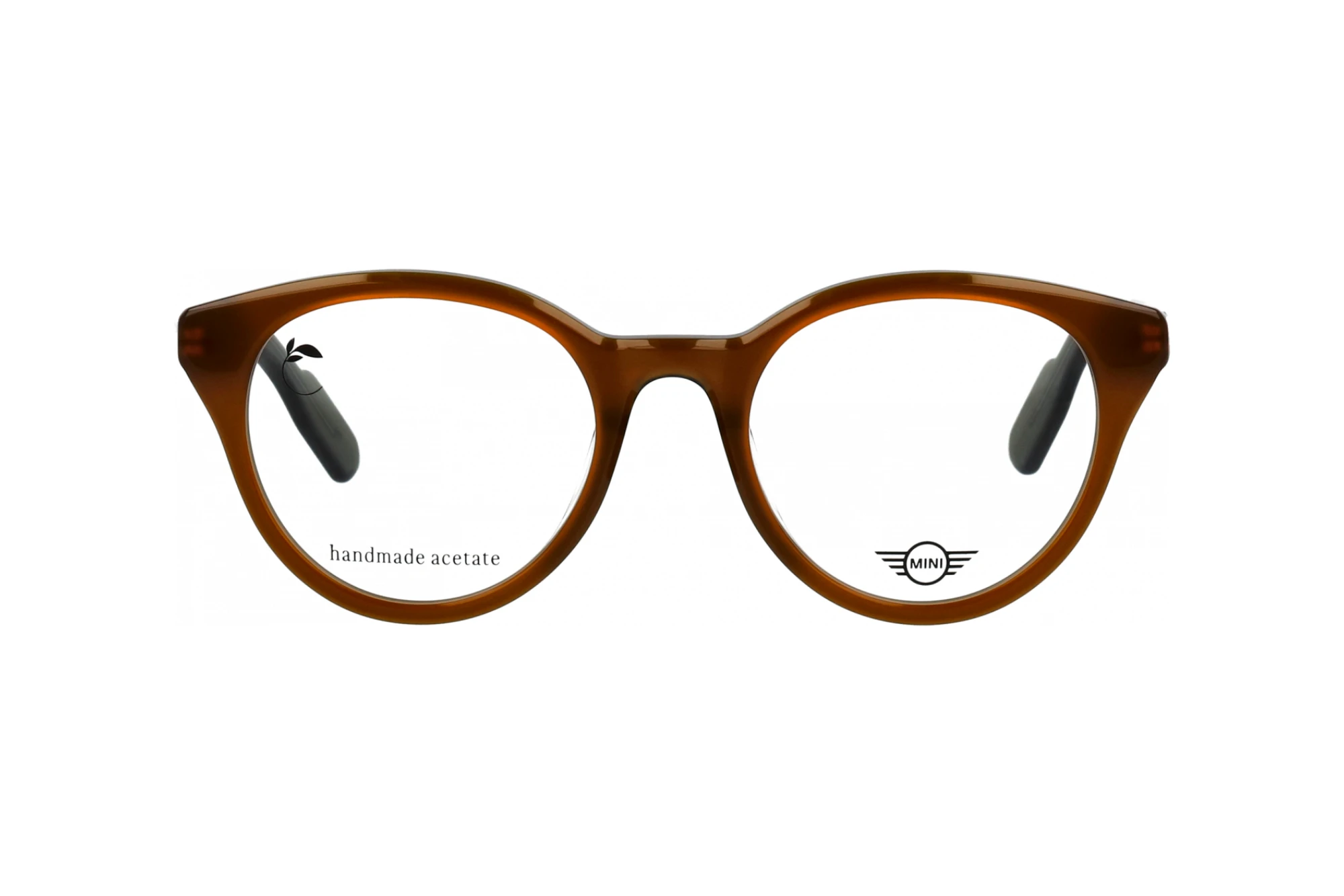 Vista frontal MINI Eyewear MI 743032 (65)