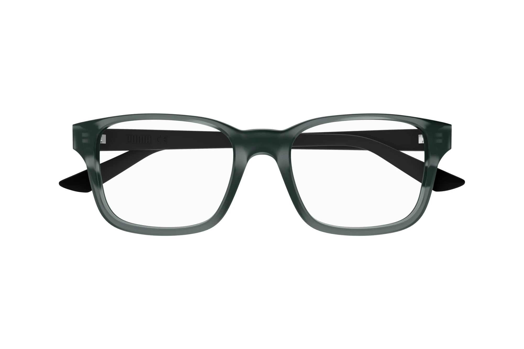 Vista frontal Puma PU0434O (002)