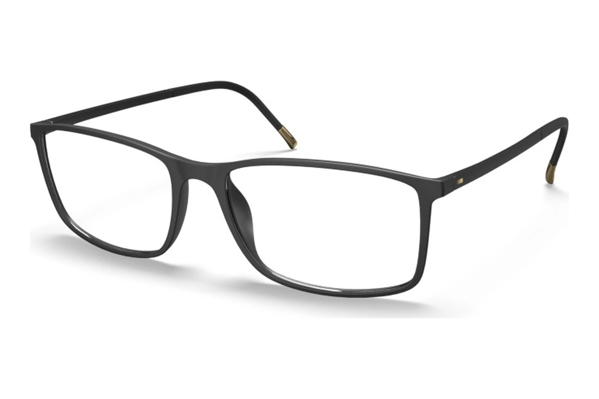 Silhouette   2934 9030 Black Matte