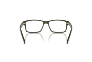 [glasses-back-view] Arnette LEONARDO (AN7179 - 2854)