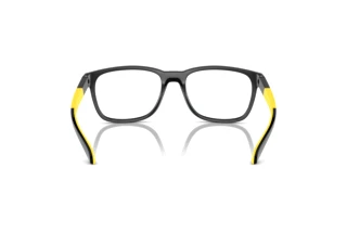 [glasses-back-view] Arnette ORIBEE (AN7240U - 2904)
