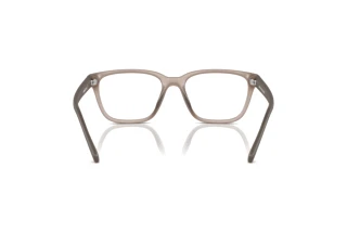 [glasses-back-view] Arnette PHEOBE (AN7250U - 2906)