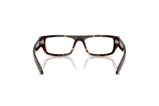 Vista posterior Arnette PHENO (AN7273 - 1222)