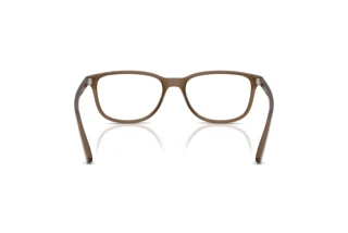 Vedere din spate Arnette CRUMBLE (AN7281 - 2997)