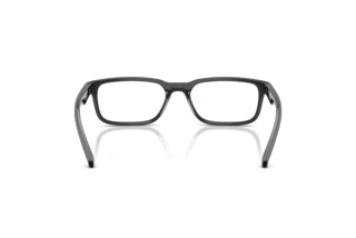 Vedere din spate Arnette RAYSIN (AN7283 - 3009)