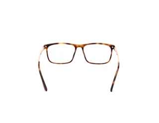 [glasses-back-view] BMW BW5086-H (052)