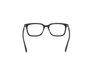 [glasses-back-view] BMW BW5100-H (002)