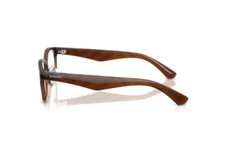 [glasses-side-view] Burberry BE2436D (4116)