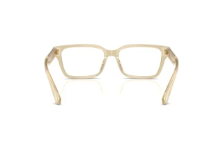 [glasses-back-view] Burberry BE2453 (4226)