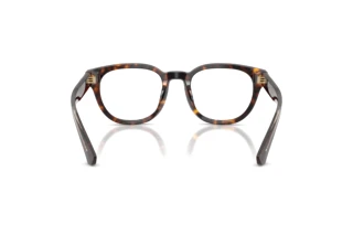 [glasses-back-view] Burberry BE2454 (4205)