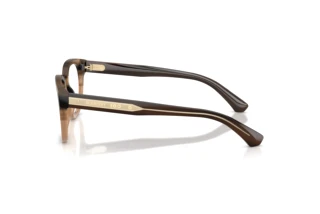 [glasses-side-view] Burberry BE2454 (4207)