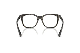 [glasses-back-view] Burberry BE2455 (4199)