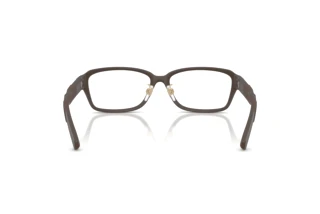 [glasses-back-view] Burberry BE2461D (4234)