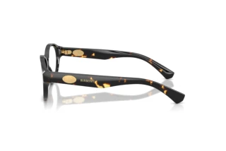 Sidovy Burberry BE2466 (4106)