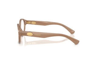 Sidovy Burberry BE2466 (4258)