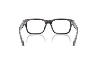 [glasses-back-view] Burberry BE2469 (4254)