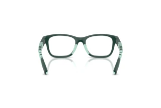 [glasses-back-view] Burberry JB2018U (4239)