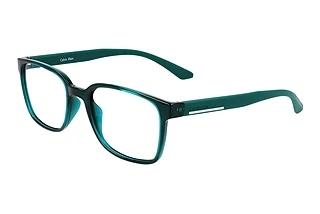 Calvin Klein CK20534 300
