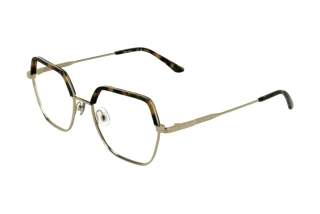 [glasses-front-view] Calvin Klein CK25113 (717)