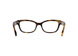[glasses-back-view] Calvin Klein CK25541 (240)