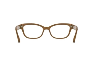 [glasses-back-view] Calvin Klein CK25541 (272)