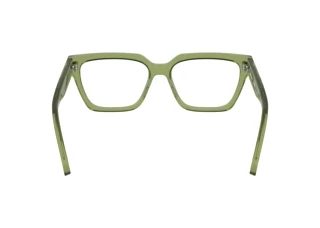 Vista posterior Calvin Klein CKJ25609 (746)