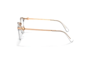 [glasses-side-view] Coach HC5133D (5111)