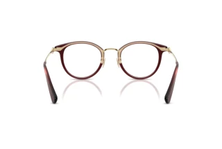 Vedere din spate Coach HC5133D (5677)